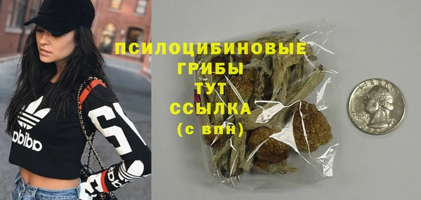 дурь Горнозаводск