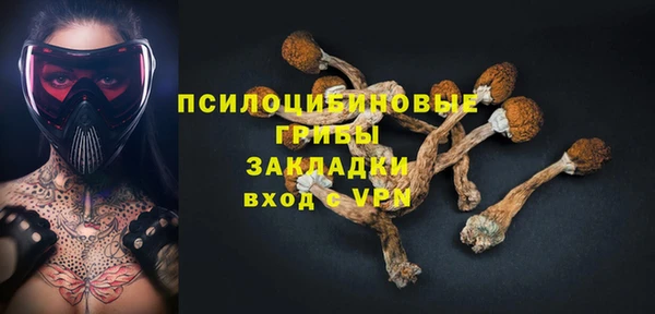 PSILOCYBIN Горно-Алтайск