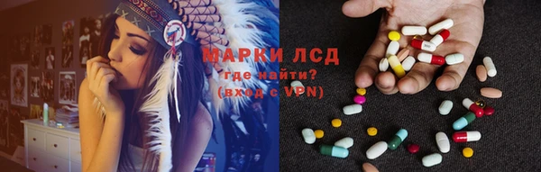 крисы Горняк