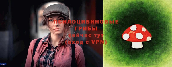 PSILOCYBIN Горно-Алтайск