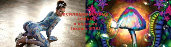 PSILOCYBIN Горно-Алтайск