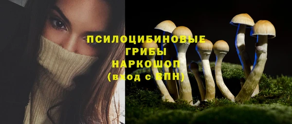 крисы Горняк