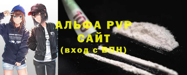 PSILOCYBIN Горно-Алтайск