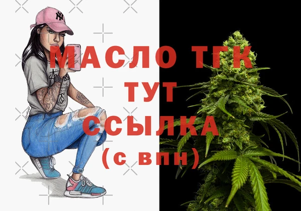 крисы Горняк