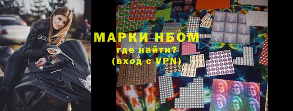 крисы Горняк