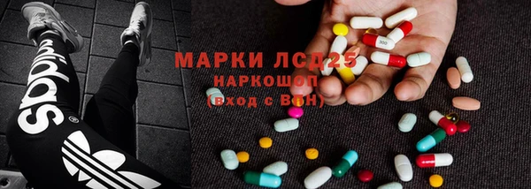 крисы Горняк