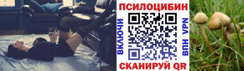 Галлюциногенные грибы мухоморы  Купить где  Борзя 