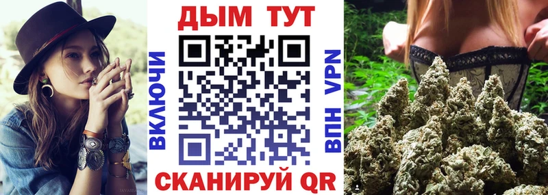 Шишки марихуана SATIVA & INDICA  Купить  Борзя 
